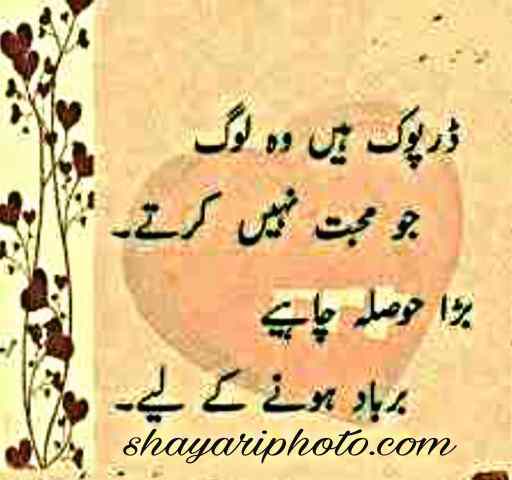 New Urdu Shayari 